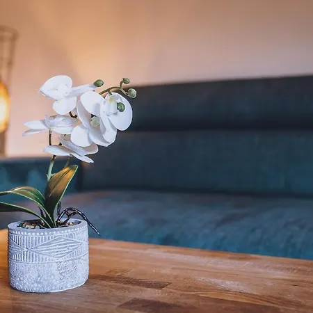 Appartement Premium Areit By We Rent Zell am See