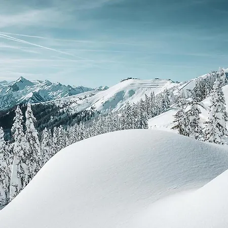 Premium Areit By We Rent * Τσελ αμ Ζέε