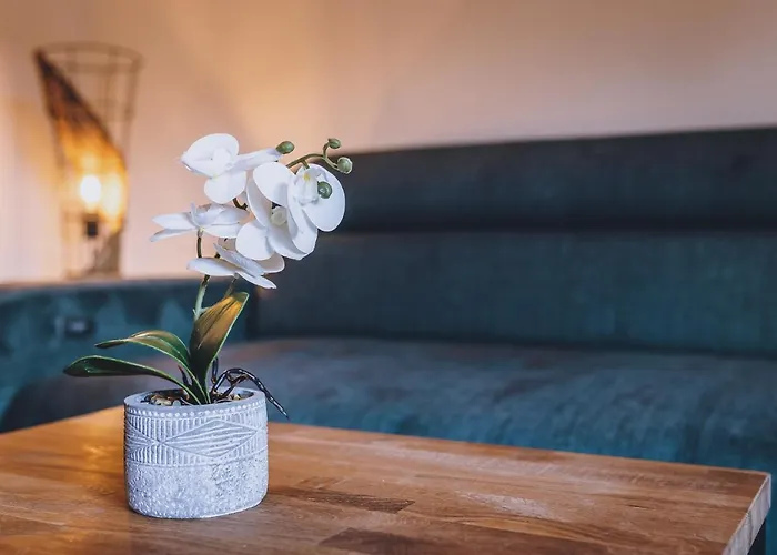 Apartment Premium Areit By We Rent Zell am See