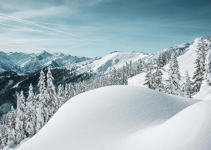 Premium Areit By We Rent * ツェル アム ゼー