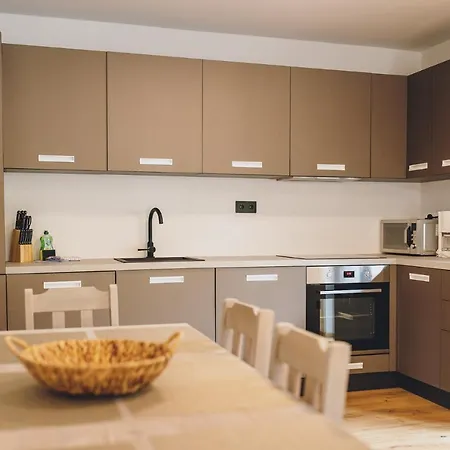Premium Areit By We Rent, Summercard Included Apartament Zell am See