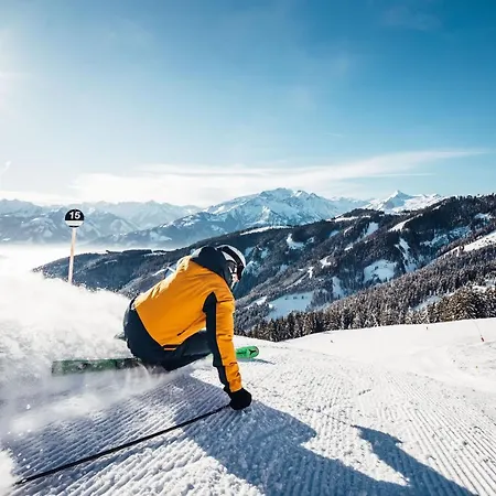 Premium Areit By We Rent, Summercard Included * Zell am See